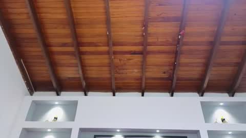 Ambar  online show from 03/30/26, 11:44