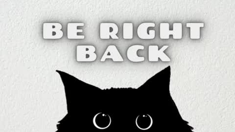 Snapshot of ambarsantany chatting on 02/04/25, 11:49 AmbarSantany  online show from 02/04/25, 11:49