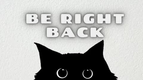 Snapshot of ambarsantany chatting on 02/05/25, 02:51 AmbarSantany  online show from 02/05/25, 02:51