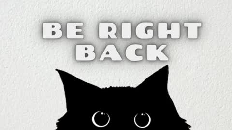 Snapshot of ambarsantany chatting on 02/22/25, 03:34 AmbarSantany  online show from 02/22/25, 03:34