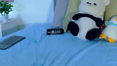amber_bull online show from 04/29/26, 02:10