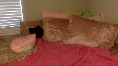 Amber 3 online show from 09/14/25, 03:22