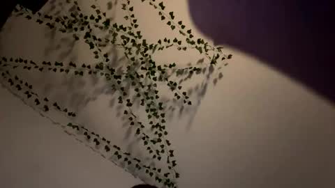 AmberIsPurple online show from 12/08/24, 04:04