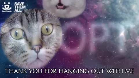 Snapshot of ambersimard chatting on 03/05/25, 03:08 Amber online show from 03/05/25, 03:08