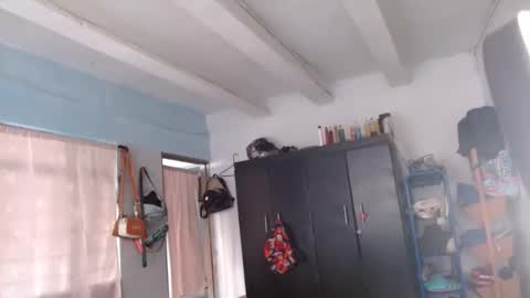 amelia  online show from 12/08/24, 01:03