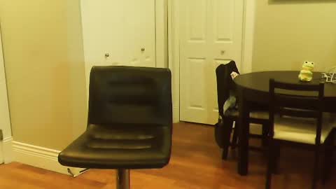 Snapshot of amera_gray chatting on 01/12/25, 06:16 HOT white naughty leo xxx online show from 01/12/25, 06:16