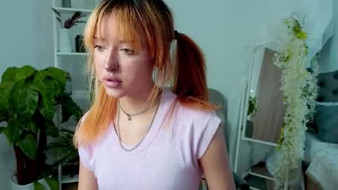    online show from 04/14/26, 11:05