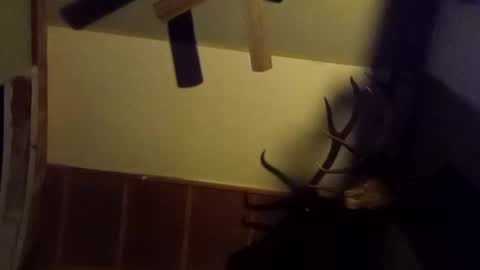 Snapshot of ammoman22 chatting on 03/09/25, 05:55 ammoman22 online show from 03/09/25, 05:55