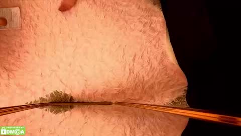 Amora Moore online show from 01/17/26, 01:21