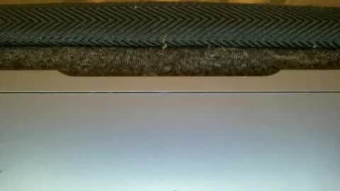 23cm4you online show from 02/11/26, 10:59