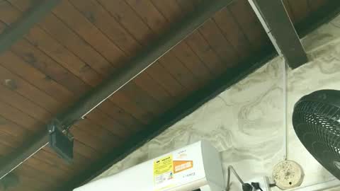 Snapshot of amy_greenee chatting on 03/01/26, 11:34 amy_greenee online show from 03/01/26, 11:34