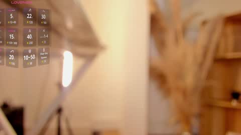     online show from 01/18/25, 11:22