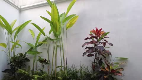 girl next door named Amy online show from 03/02/25, 10:35