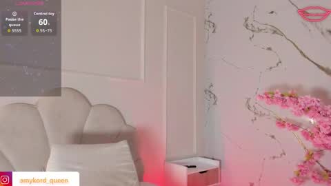 Amykord online show from 04/17/26, 11:35