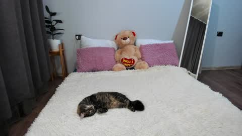 amymilson online show from 12/20/24, 03:21