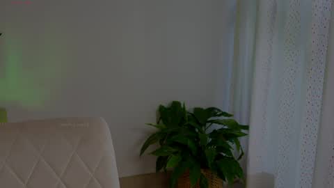 Snapshot of anabelcurvy chatting on 05/13/26, 06:38 anabelcurvy online show from 05/13/26, 06:38
