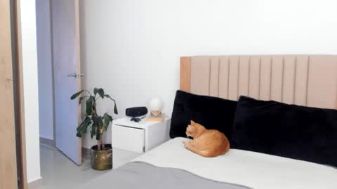 Ana Henao or Annie... Follow me ahenaocb Insta  X online show from 10/25/25, 09:42