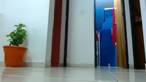 anaids online show from 12/19/24, 02:57