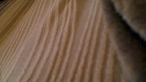 anaiserebel online show from 01/15/26, 07:02