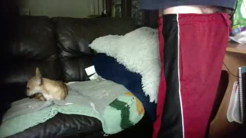 anal_king666 online show from 01/12/26, 01:33