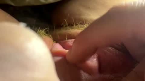 anastasia online show from 02/26/26, 02:54