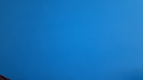 And 16.8 online show from 11/21/25, 10:36