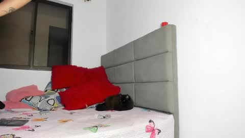 ANDREA online show from 05/01/26, 11:37