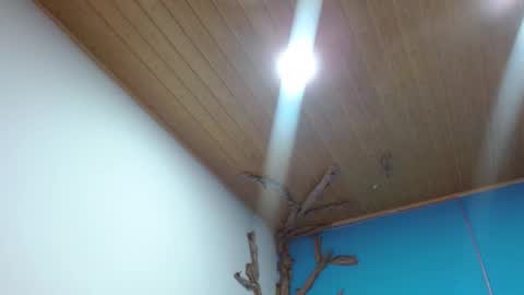 Andre online show from 02/03/26, 02:53