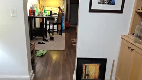 andrewo42601 online show from 11/04/25, 01:59