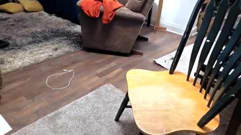 andrewo42601 online show from 01/17/26, 10:13