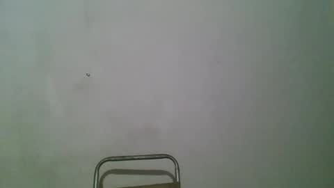 andy101075 online show from 04/16/26, 04:35