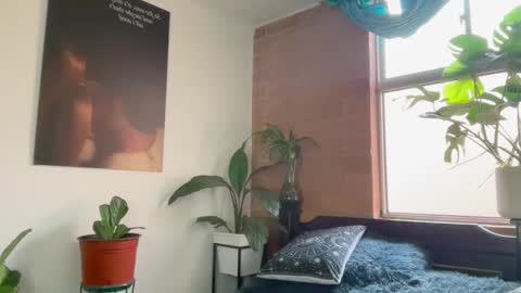 Andy online show from 02/24/26, 01:09