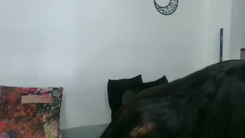  Angela  online show from 03/11/25, 02:32