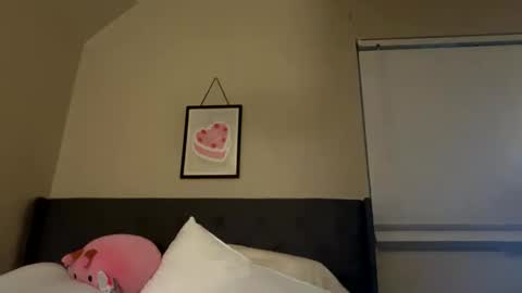 Princess Peach online show from 02/23/25, 09:00