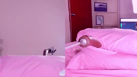 Angeli  online show from 02/18/25, 03:21