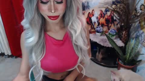 Snapshot of angelic_face_808 chatting on 02/14/25, 05:14 DIVINE ANGEL online show from 02/14/25, 05:14