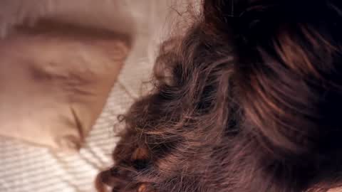 Snapshot of angelicapretybb chatting on 01/20/25, 10:40 Angelica online show from 01/20/25, 10:40