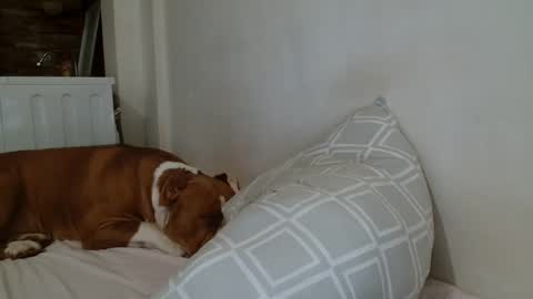 Angela online show from 02/08/25, 09:04