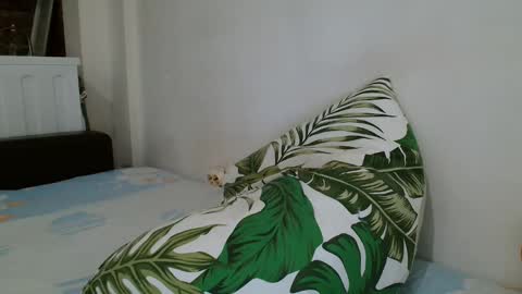 Angela online show from 02/19/25, 12:57