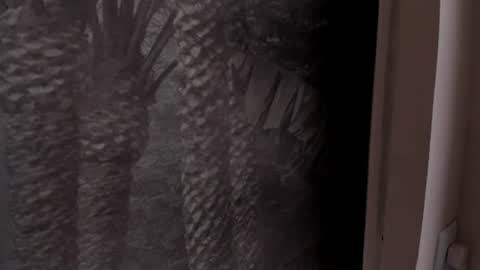 Snapshot of angelierose_ chatting on 06/27/26, 12:33 Angelie Rose online show from 06/27/26, 12:33