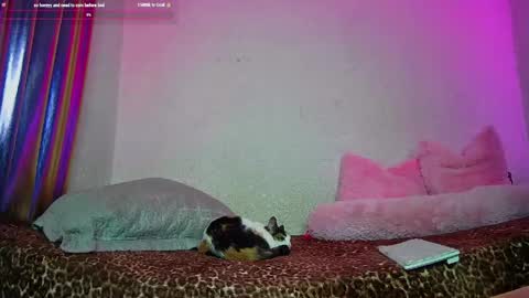 Snapshot of angelsdustxxx chatting on 05/13/26, 05:49 online show from 05/13/26, 05:49