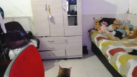 angels online show from 09/25/25, 07:06