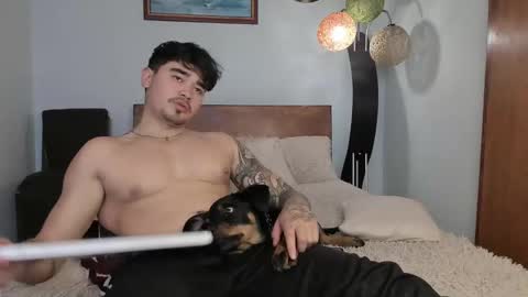 Angel Fox online show from 12/03/24, 06:17