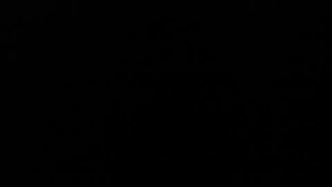 Angel Fox online show from 12/05/24, 03:37