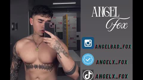 Angel Fox online show from 09/09/25, 12:26