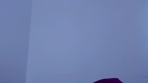 Angel Fox online show from 10/12/25, 09:36