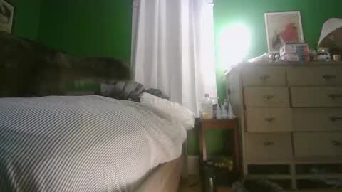 Ani online show from 02/15/26, 11:30