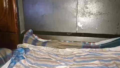 anis4551 online show from 01/12/26, 08:14