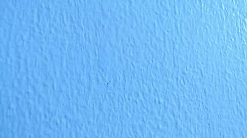 Snapshot of anisston_boods1 chatting on 12/02/24, 07:03 ana independent model online show from 12/02/24, 07:03