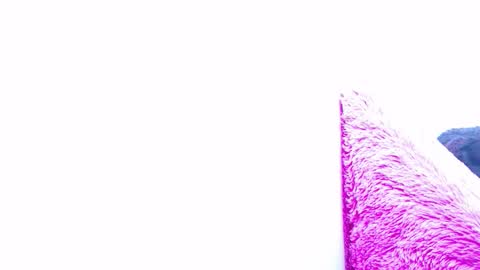 Snapshot of anisston_boods1 chatting on 01/15/25, 07:37 ana independent model online show from 01/15/25, 07:37